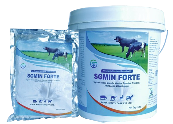 SGMIN FORTE