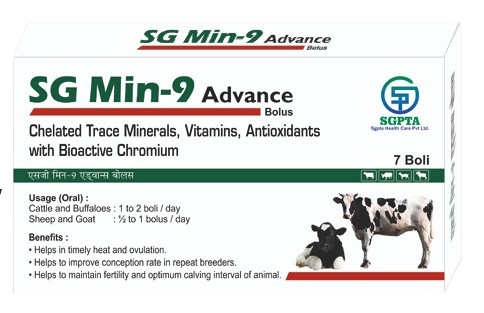SG Min-9 Advance Bolus