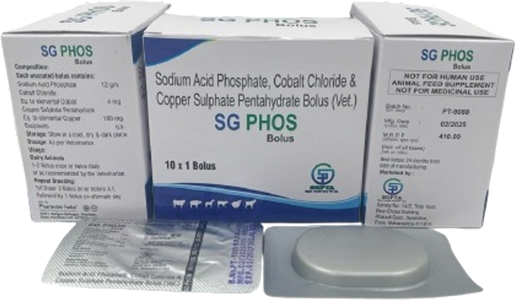 SG PHOS Bolus