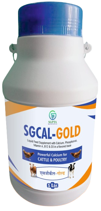 SGCAL GOLD